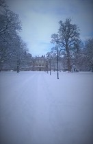 Any Witches here? Part 13