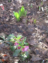 Any Witches here? Part 13