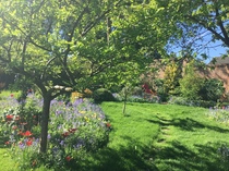 Your Garden Made Perfect