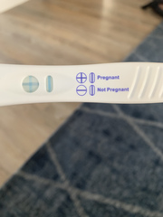 Support thread for women who are pregnant or TTC following a termination for abnormalities. Thread 7