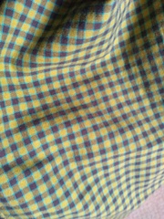 Toast 6-  with a Spring in our step