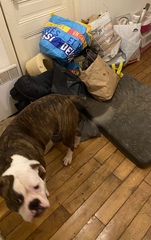 With no parents as a child to help me to learn cleaning/ organisational/ budgeting skills, my home has become horrific and I am hoping someone has tips please? Possible TW in my background