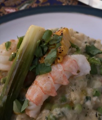 Week 4 - Low Carb Bootcamp - how much chatting?!