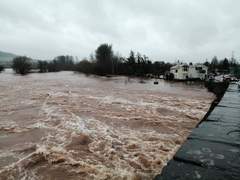 Frugaleers -Marching March-wards Making Money Matter