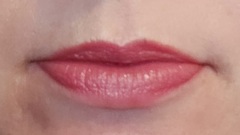 Lipstick Challenge - a different lipstick each day of Jan!