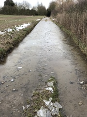 Running Thread 16