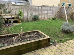 My garden view is ugly... and my garden needs some work, too. Any advice? (Pictures)