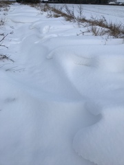 Running Thread 16