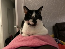 Harry - help needed!