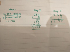 WIBU to just teach DS how to do 'normal' division and multiplication?