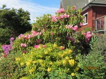 Gardening chat