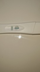 Ovulation due 27th January / Period due 10th February