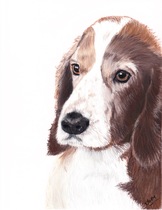 Art Prints vs Original Drawing - Pricing