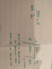 WIBU to just teach DS how to do 'normal' division and multiplication?