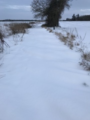 Running Thread 16
