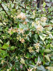 What is this?