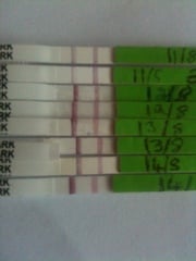 CD1 (again!) - No more relaxed approach..