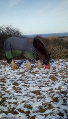 Snow Photos