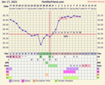 9DPO Symptom Spotting