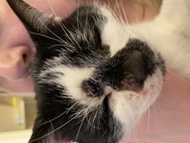 Harry - help needed!