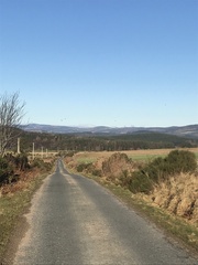 Running Thread 16