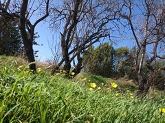 Spring is coming. Anyone else want to look at cheery photos?