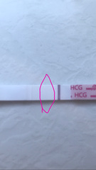 One step hpt reviews