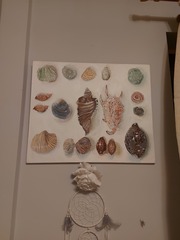 🐧 Penguin Huddle 🐧 Thread 36 - TTC after pregnancy loss