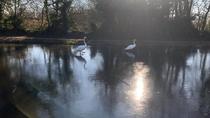 Walking on ice
