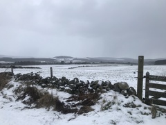 Running Thread 16