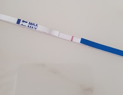 Evap?? Or line