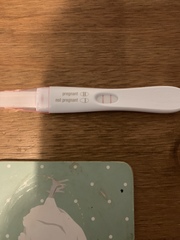 Pregnancy test