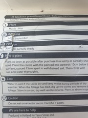 Is there any point in planting these?