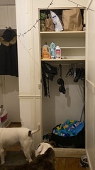 With no parents as a child to help me to learn cleaning/ organisational/ budgeting skills, my home has become horrific and I am hoping someone has tips please? Possible TW in my background