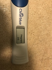Ovulation due 27th January / Period due 10th February
