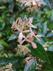 What is this?
