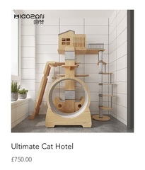 Cat chat thread we've lost count