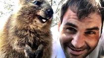 I’m just going to put it out there, kangaroos scare the crap out of me