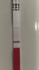 7DPO 2ww is killing me!