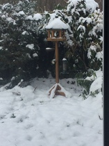 Why don't birds come to my bird table?!