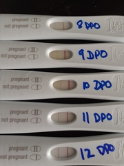 Two Week Wait Buddies