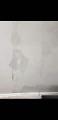 Damp Help