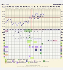 Chart help please? What is going on??