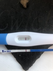 Feb Bus 2021 - no more TRYING to conceive, let's blimin do this!