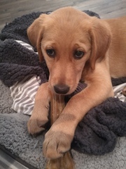 Week 3 - Jan '21 Low Carb Bootcamp - time for Light?