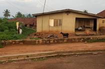 Houses in other countries (inspired by what baffles you about other countries)