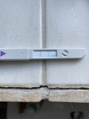 First time using Clearblue OPK - question