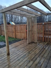What can I grow on my new pergola?