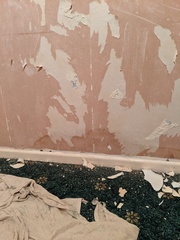 Internal wall damp help