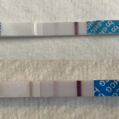 Tracking your cycle and possible BFP using RHR - part 5